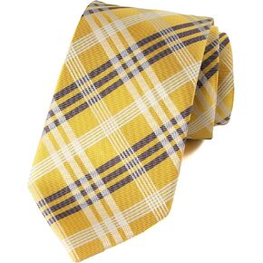 Spring Notion Men's Plaid Woven Necktie