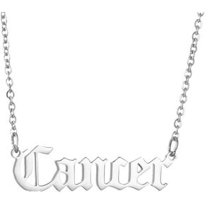Zodiac Necklaces for Women Constellation Necklace Capricorn Aquarius Pisces Necklace Birthday Jwelry Gifts for Friends
