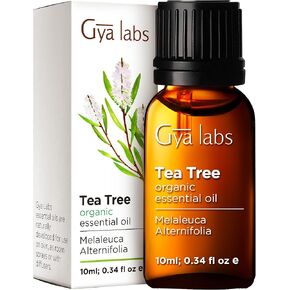 Gya Labs Organic Pine Essential Oils for Diffuser - Fall Pine Oil Organic Essential Oils - Pine Essential Oil Organic for Candle Making (0.34 fl oz)
