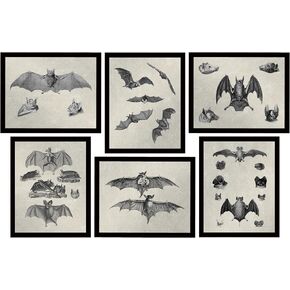 Bat Decor - Gothic Decor - Witchy Gifts Creepy Vampire Wall Art Goth Decorations 6 (8x10) UNFRAMED Prints Poster Skeleton Bats Emo Whimsigoth Dark Academia Victorian Oddities Curiosities Beebeauty