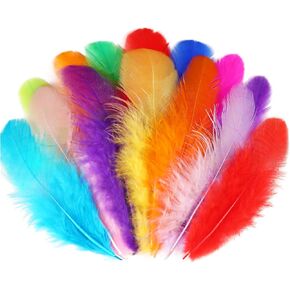 Soarer Colorful Craft Rooster Feathers - 300pcs 3-5inch Colored Feathers Bulk for Kindergarten DIY Crafts,Wedding Home Party Decorations,Dream Catcher Supplies(Rooster Colorful)