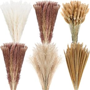 330 Pcs Pampas Dried Decor Grass 17 White Pampas Natural Rabbit Tail Grass Dried Reed Brown Dried Flower Fluffy Pampas Bouquet Boho Flower Arrangements for Home Decor Wedding Flower Plants