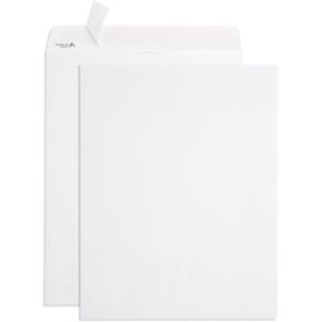 100 9 X 12 Self Seal Security Catalog Envelopes - Designed for Secure Mailing - Securely Holds up to 60 Sheets of Paper with Strong Peel and Seal Flap (100 Envelopes)