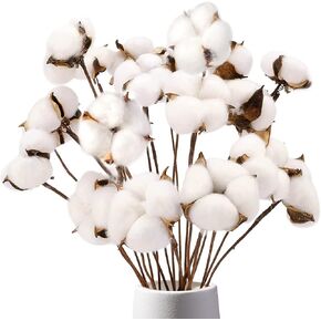 DomeStar 30PCS Cotton Stems, 15" Natural Dried Cotton 120 Cotton Balls Cotton Sprigs Cotton Blooms Floral Stems for Vase Fillers
