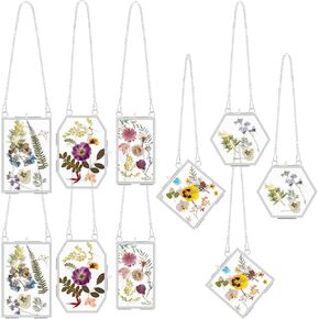 BBTO 10 Pcs Glass Frame for Pressed Flowers 5 Different Shapes Brass Hanging Picture Frame with Chain Pressed Flower Glass Photo Frames for Artwork Frame Home Wall Decor Plant Specimen Photo Display
