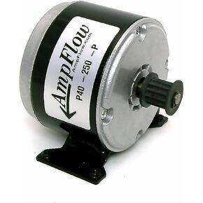 محرك كهربائي مصقول AmpFlow P40-350، 350 وات، 12 فولت، 24 فولت أو 36 فولت تيار مستمر، 3500 دورة في الدقيقة