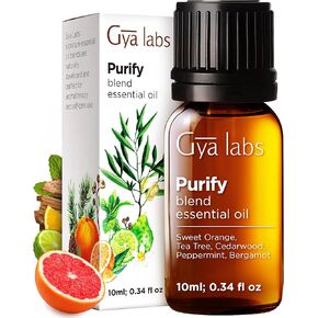 Gya Labs Purify Essential Oil Blend (0.34 fl oz) - Fresh & Cleansing Scent