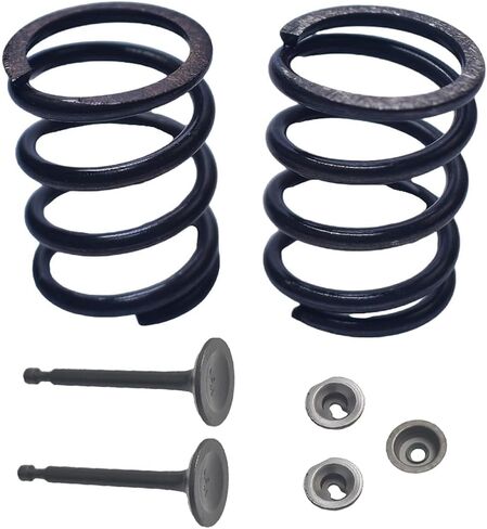 18lb Valve Spring Kit For Predator 212cc For Honda GX200 For BSP and most other GX200 OHV clone Hemi And Non-Hemi Go Kart Racing Engine Springs in Saudi Arabia