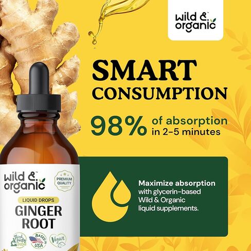 Ginger Liquid Extract - Organic Ginger Root Drops - Ginger Supplements for Digestive Support - Vegan, Alcohol Free Tincture - 2 fl oz in Saudi Arabia