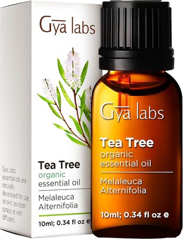 Gya Labs Organic Ginger Oil for Body Comfort - Natural Organic Ginger Essential Oil for Hair, Skin & Diffuser - (0.34 fl oz) in Saudi Arabia