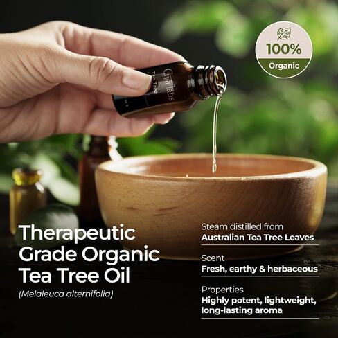 Gya Labs Organic Ginger Oil for Body Comfort - Natural Organic Ginger Essential Oil for Hair, Skin & Diffuser - (0.34 fl oz) in Saudi Arabia