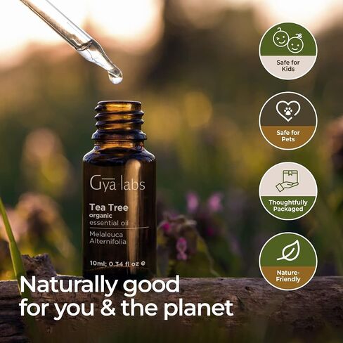 Gya Labs Organic Ginger Oil for Body Comfort - Natural Organic Ginger Essential Oil for Hair, Skin & Diffuser - (0.34 fl oz) in Saudi Arabia