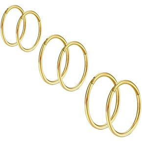20G Surgical Steel Nose Rings Hoop Hinged Clicker Segment Helix Cartilage Daith Tragus Earrings Body Piercing Jewelry for Women Men Girls 6mm 8mm 10mm 12mm in Kuwait