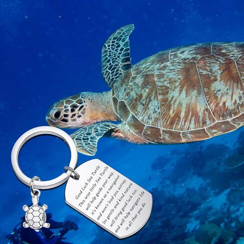 BNQL Sea Turtle Keychain Good Luck Sea Turtle Gifts Turtle Keyring Tortoise Charm Lucky Turtle Gifts for Turtle Lovers Friends (SILVER) in Kuwait