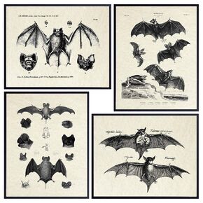 Bats Gothic Wall Art & Decor - LARGE 11X14 - Vintage Retro Hipster Goth Art, Home or Room Decoration - Gift for Horror, Vampire Fans - Creepy Scary Anatomical Picture Poster Print Set