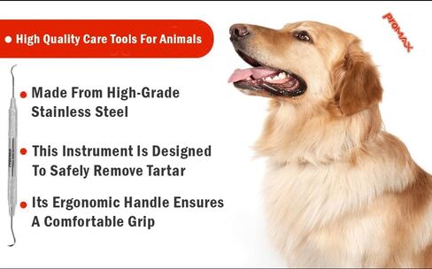 Professional Dental Tartar Scraper Tool - Double Ended Tartar Remover for Teeth, Dental Pick, Plaque Remover, Tooth Scraper - Added Tooth Cleaning at Home - 100% Surgical Stainless Steel-45-10127 (2) in Kuwait