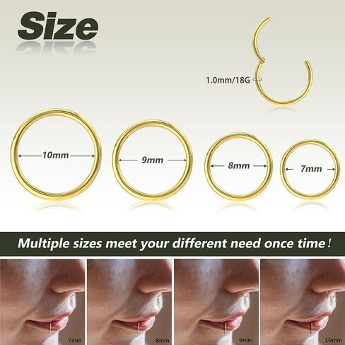 BodyBonita 4/8 pcs 16G/18G/20G 316L Surgical Steel Seamless Hinged Nose Rings Hoops Septum Rings Lip Rings Hypoallergenic | Earrings for Helix Cartilage Conch Rook Daith Lobe Cartilage Tragus Piercing Jewelry | Black Silver Gold Nose Rings Cilcker Body Pi in Saudi Arabia