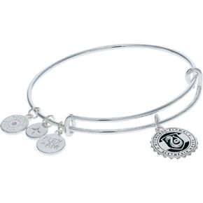 Alex and Ani Collaborations Harry Potter Houses Charm Bangle, Bangle Bracelet, Shiny Finishes, 2 To 3.5In