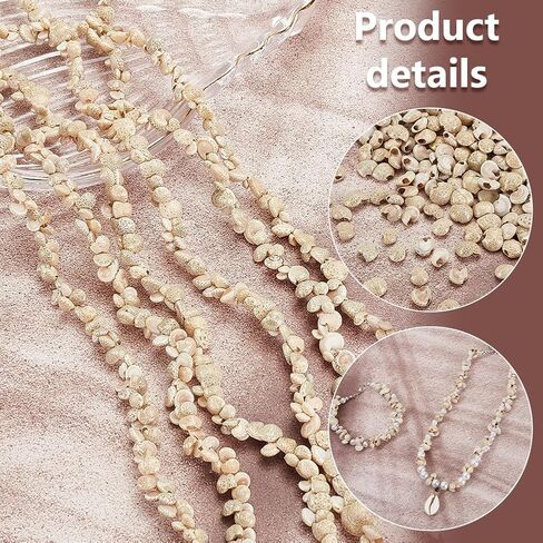 PH PandaHall Tiny Sea Shells No Hole, 190g Colorful Spiral Ocean Beach Seashells Small Turbo Shells Craft Shell Charmd for Resin Party Wedding Home Decor Vase Filler Fish Tank in Kuwait