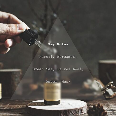 Rouge Diffuser Oil, Niche Scent, Ambroxan Molecule-Based Formula, Saffron, Jasmine, Cedarwood Essential Oils Blend for Ultrasonic Diffuser Scent Projects(.33 oz/10 ml) in Kuwait