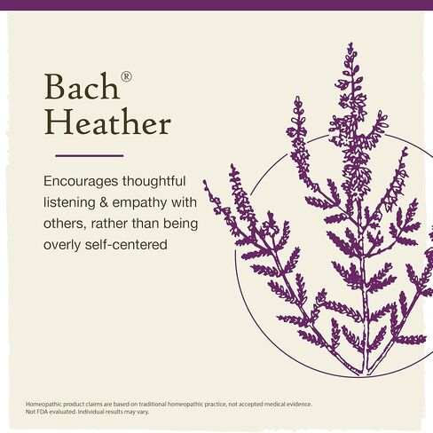 Bach Original Flower Remedies, Cherry Plum for Control (Non-Alcohol Formula), Natural Homeopathic Flower Essence, Holistic Wellness and Stress Relief, Vegan, 10mL Dropper in Saudi Arabia