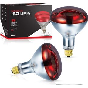 BULBMASTER 250 Watts R40 Red Heat lamp Flood Light Bulbs Infrared Reflector Incandescent Medium E26 Base 1 Pack