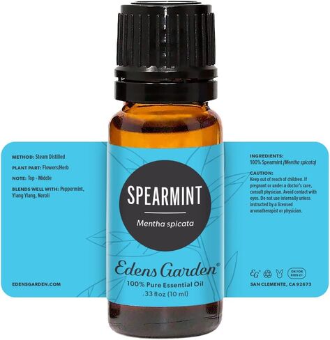 زيت اوكوتيا العطري من ايدينز جاردن، درجة علاجية نقية 100% (زيت عطري عطري طبيعي غير مخفف/معالج مثلي للعلاج العطري برائحة الروائح العطرية) 10 مل in Kuwait