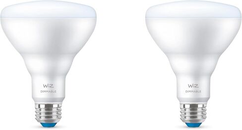 WiZ Connected 2pk A19 Dimmable Daylight in Kuwait
