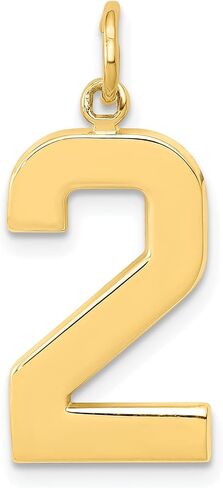 Jewels By Lux 10K Yellow Gold Casted Large Polished Number Charm Pendant (Length 25mm Width 10 mm) in Saudi Arabia