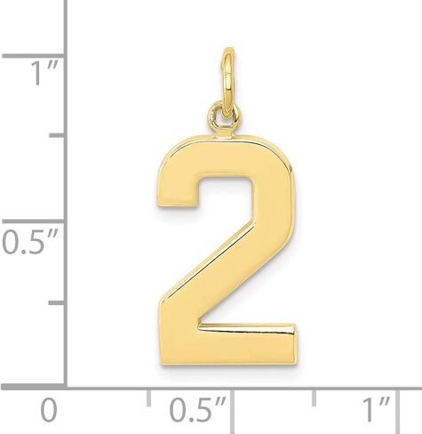 Jewels By Lux 10K Yellow Gold Casted Large Polished Number Charm Pendant (Length 25mm Width 10 mm) in Saudi Arabia