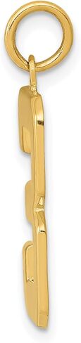 Jewels By Lux 10K Yellow Gold Casted Large Polished Number Charm Pendant (Length 25mm Width 10 mm) in Saudi Arabia