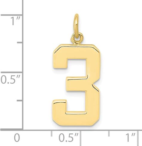 Jewels By Lux 10K Yellow Gold Casted Large Polished Number Charm Pendant (Length 25mm Width 10 mm) in Saudi Arabia