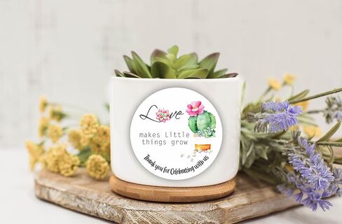 Let Love Grow Party Favors Stickers - Succulent Baby Shower labels - Seed Favor Stickers - Wedding Favor labels - Driving by Birthday Party Favor Stickers - Set of 40 stickers in Saudi Arabia