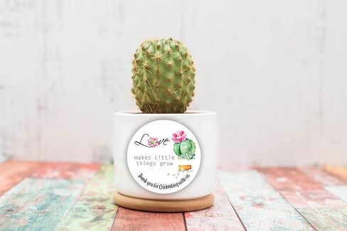 Let Love Grow Party Favors Stickers - Succulent Baby Shower labels - Seed Favor Stickers - Wedding Favor labels - Driving by Birthday Party Favor Stickers - Set of 40 stickers in Saudi Arabia