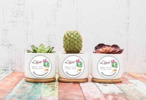 Let Love Grow Party Favors Stickers - Succulent Baby Shower labels - Seed Favor Stickers - Wedding Favor labels - Driving by Birthday Party Favor Stickers - Set of 40 stickers in Saudi Arabia
