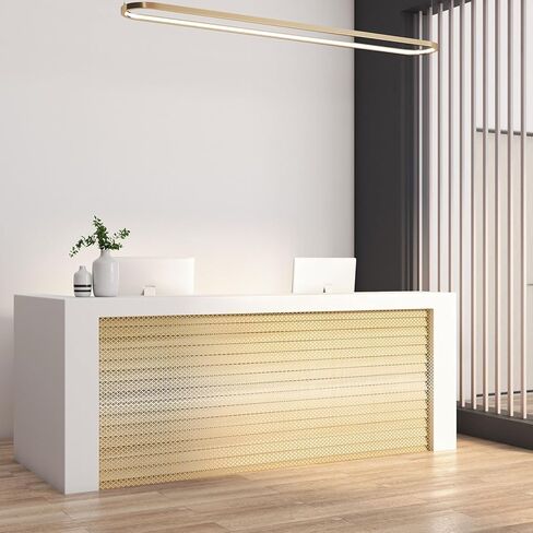 Gisafai 2 Pcs Cloverleaf Aluminum Sheet 2 Feet by 3 Feet Perforated Metal Sheets 0.02 Inch Thick Metal Mesh Sheet Decorative Sheet Metal Decorative Aluminum Sheet for Indoor Outdoor, Silver in Kuwait