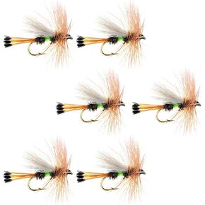 The Fly Fishing Place Lime Royal Trude Classic Trout Dry Fly Fishing Flies - Set of 6 Flies Size 14