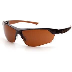 Carhartt - CHB1110TR15 Braswell Anti-Fog Bifocal Reading Safety Glasses Eye Protection, Black Frame, Clear Lens, 1.5 Diopters