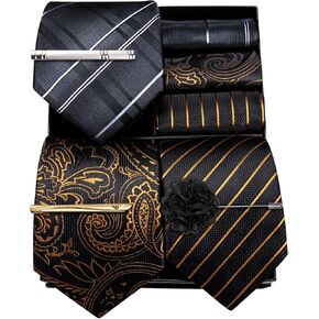 Barry.Wang Mens Gift Box Tie Set 3PCS Silky Stripe Paisley Necktie Pocket Square Cufflinks Business Wedding