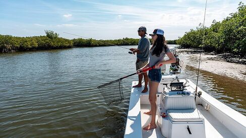 شبكة بوبا قابلة للتمديد مع هيكل مقاوم للتآكل، ومقبض غير قابل للانزلاق وأعمدة من ألياف الكربون لصيد الأسماك والصيد وركوب القوارب وفي الهواء الطلق in Kuwait