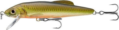 LiveTarget Minnow- طعم رعشة، 3 بوصة، 1/4 أونصة، ذهبي/جثم in Kuwait