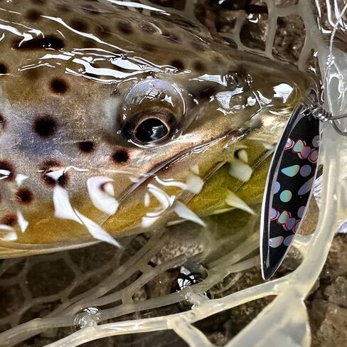 سمك السلمون المرقط السحر الصيد الدوار الطعوم عدة سوط الذيل مقاومة للتآكل النحاس الجسم 10 قطعة صندوق معالجة in Kuwait