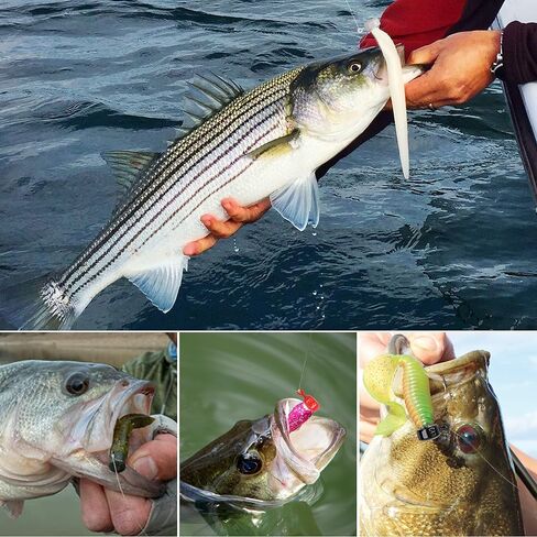 Ned Rig Jig Heads Kit-25pcs Finesse Mushroom Shroom Jig Hooks for Soft Lures Ned Rig Jig Heads for Bass Fishing Crappie Jig Heads Mushroom Head Jigs Freshwater or Saltwater 1/6 1/8 and 1/10oz in Saudi Arabia