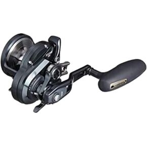 Shimano Double Axis Reel Oshiajigar F Custom Various Offshore Ships Large Reel