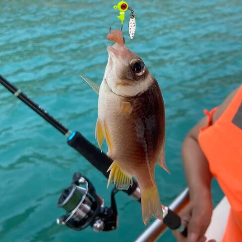 75pcs الكرابي السحر تهزهز رؤساء عدة، لينة السحر الصيد الصيد تهزهز رئيس تلاعب هوك الصيد الطعم البلاستيك السحر لباس سمك السلمون المرقط المياه المالحة الصيد في المياه العذبة in Kuwait