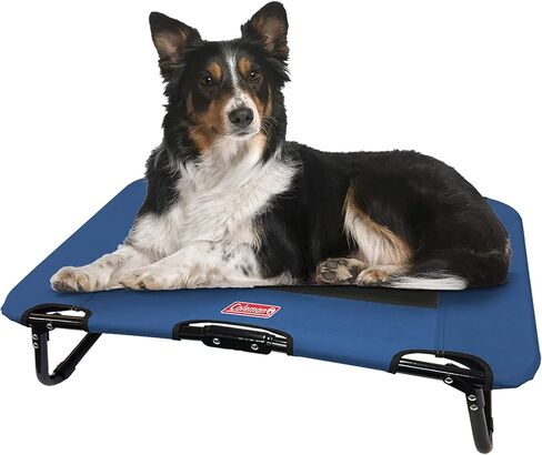 Coleman Folding Cot for Pet Up to 50 Lbs, 30 x 20 x 7 inches in Saudi Arabia