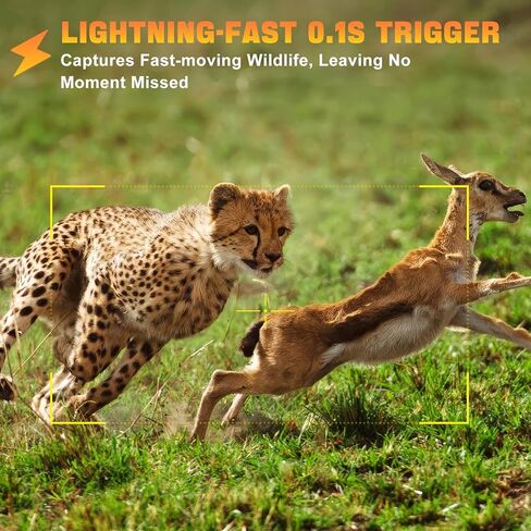 كاميرا WiFi Trail، كاميرا 4K Trail ترسل الصورة إلى الهاتف الخلوي، كاميرا صيد نشطة بحركة الزناد 0.1 ثانية مع زاوية واسعة 125 درجة، 45 قطعة بدون توهج 940 نانومتر LED كاميرات الألعاب مع رؤية ليلية in Kuwait
