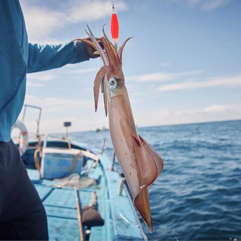 PATIKIL Luminous Squid Jig Hooks Cuttlefish Sleeve Fishing Lures Bait Jig Saltwater Fishing Lures Squid Catcher Glow in Dark in Saudi Arabia