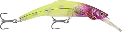 سلسلة Matzuo Marianne Huskey المميزة من Kinchou Minnow Lure in Kuwait