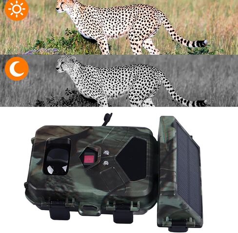 Trail Camera with Detailed Images, IR Night, Tracking Moving Targets, Hunting Camera for Wildlife Monitoring Indoor Outdoor Usage. in Saudi Arabia